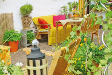 Künstliche Pflanzen werden immer beliebter - pflegeleicht und wunderschön