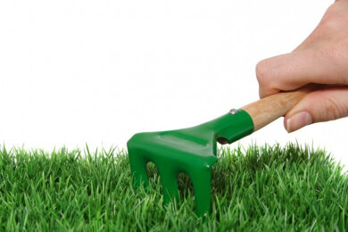 Richtige Rasenpflege besonders jetzt im Frühjahr wichtig