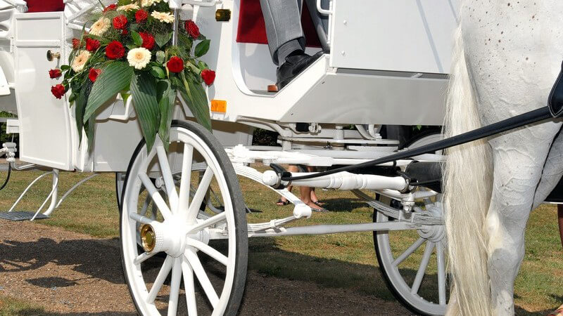 Ausschnitt einer weißen Hochzeitskutsche mit roten Rosen, weißes Pferd