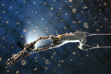 "Universal Renz"-Zirkus verstößt offenbar doch nicht gegen die Artenschutzgesetze