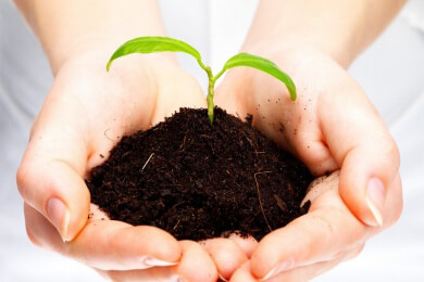 Urban Gardening - Es wächst und blüht an ungewöhnlichen Plätzen