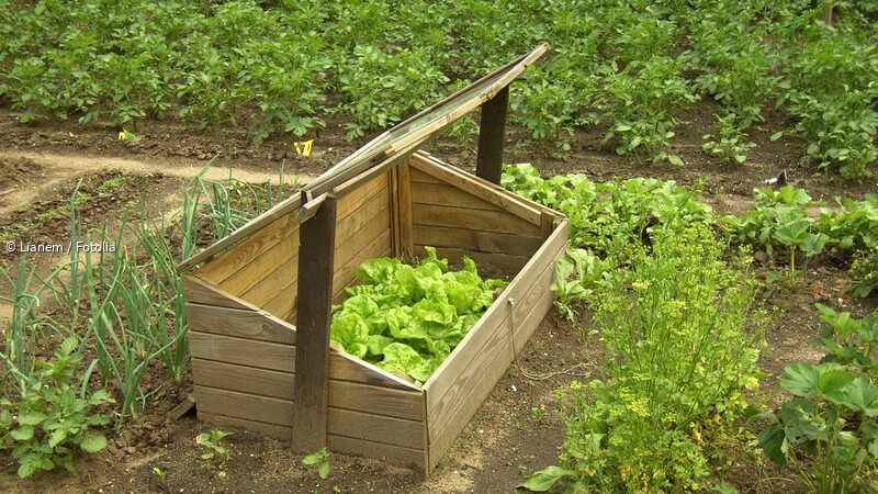 ᐅ Wie man seinen Gemüsegarten düngen sollte