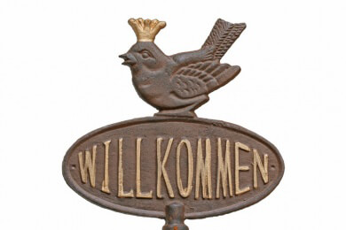 'Manukura' geschlüpft - seltenes, weißes Kiwi-Küken erblickt Licht der Welt