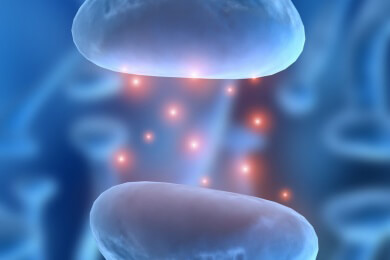 Chronischen Schmerzen auf der Spur - wichtig scheint der Glutamat-Rezeptor zu sein