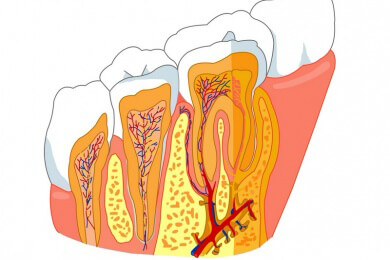 Unsere weiblichen Vorfahren waren reiselustiger als die Männer