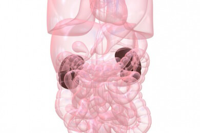 Studenten schaffen das Unglaubliche - Lebende Nierenzelle wird zum Laser