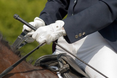 Sieg auf ganzer Linie - Matthias-Alexander Raths und Totilas holen zwei Goldmedaillen in Balve