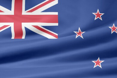 Antarktischer Pinguin verirrte sich nach Neuseeland