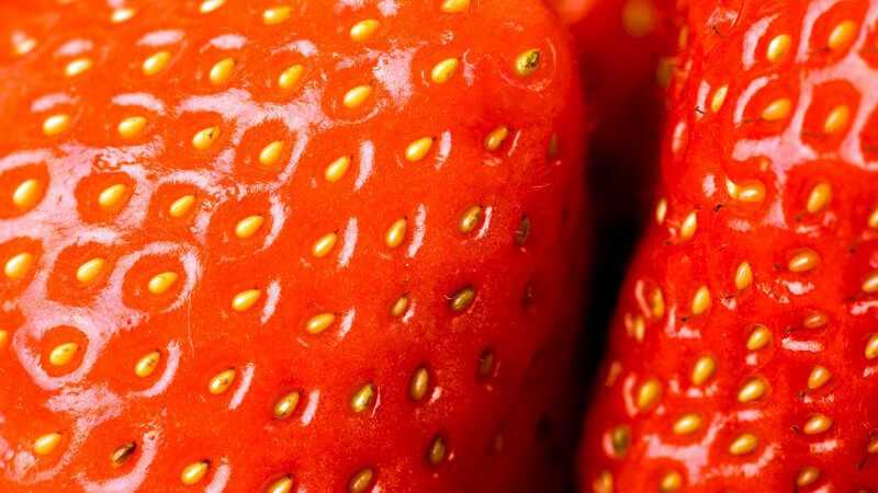 Nahaufnahme frische Erdbeeren