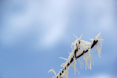 Zugefrorene Gewässer als Reservoirs der Krankheitserreger entdeckt