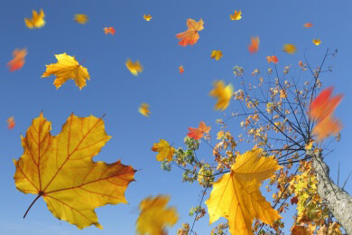 Mit Stil durch Wind und Wetter - Das sind die Mode-Trends für den kommenden Herbst