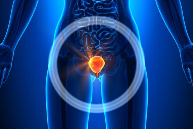 Urologe - Die Harnblase platzt nur in Ausnahmefällen