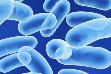 Winzige Bakterien bauen Stromnetz