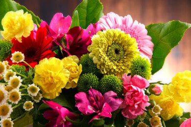 Blumen und ihre Aussagekraft