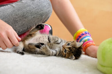 Vorsicht beim Kuscheln mit dem Haustier - Salmonellen und andere Infektionen sind übertragbar