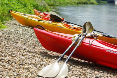 Comeback bei Olympia: Birgit Fischer will es sich noch einmal beweisen