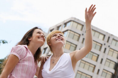 Wenn Tauben zur Plage werden