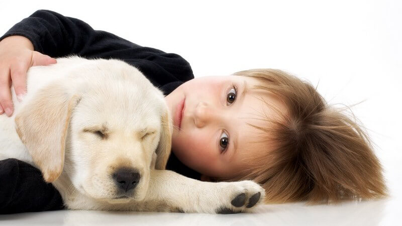 Kleines Mädchen liegt imt Labrador Welpe auf dem Boden, weißer Hintergrund