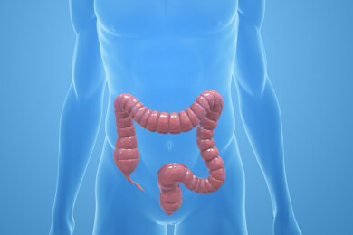 Revolution - Mediziner können zum ersten Mal voll funktionsfähige Dickdarm-Stammzellen züchten