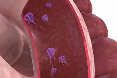 Parasit sorgte für Schwangerschaft bei Menschen
