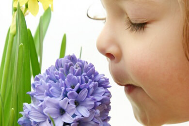 Verschiedene Raumdüfte und ihre Wirkung auf die Stimmung