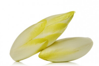 Chicoree gibt es erst seit 1845