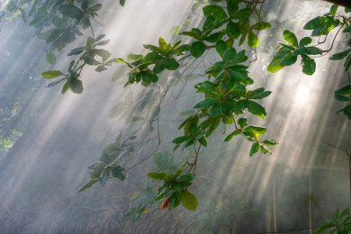 Rundreisen für Urlauber in Thailand durch Überflutungen zum Teil nicht möglich