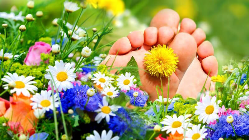 Nackte Füße bzw. Fußsohlen auf Blumenwiese