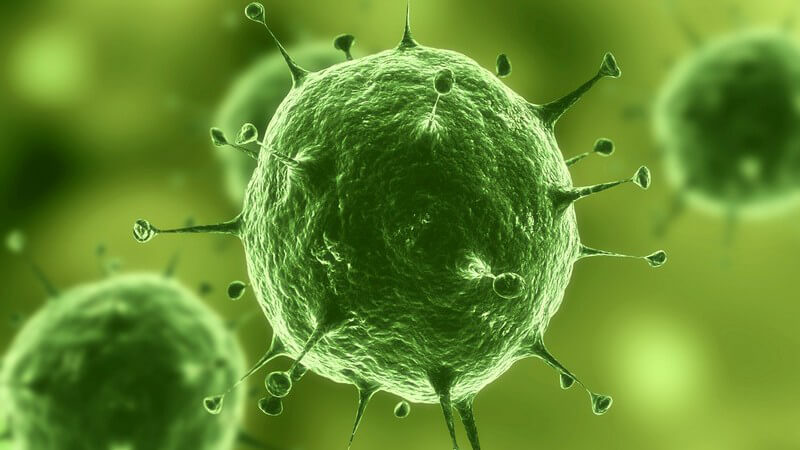 3D Grafik grüne Viren, grüner Hintergrund