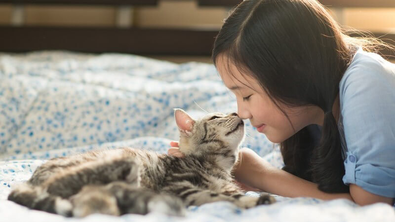 Asiatisches Mädchen kuschelt mit einer Katze auf einer Decke