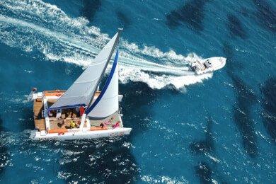 Delfine und Wale sind immer stärker von Fischerei und Lärm bedroht.