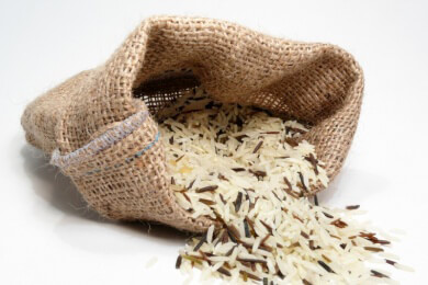 Genetiker können aus Reiskörnern menschliches Bluteiweiß gewinnen