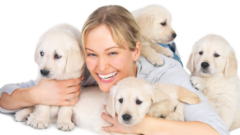Junge Frau mit Hundewelpen, weißer Hintergrund