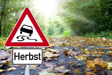 Nachbar muss fürs Laubräumen nichts zahlen