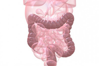 Die Colon-Hydro-Therapie zur sanften Darmreinigung und ihre Geräte