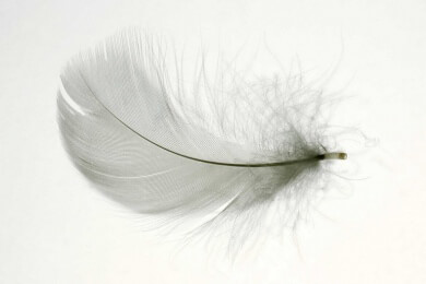 Alle zwei bis drei Jahre die Federn aus Kopfkissen reinigen lassen