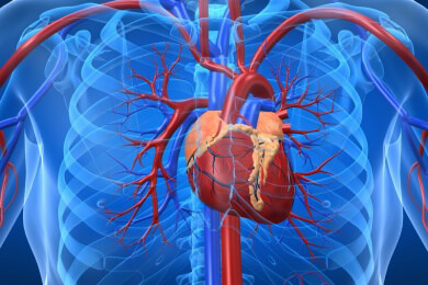 Bei Angina pectoris hilft eine Gefäßweitung mäßig gut