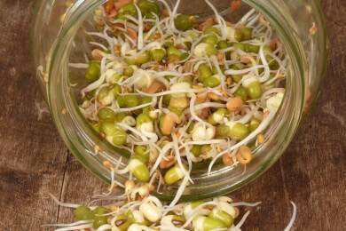 Achtung beim Kauf von Sprossensamen