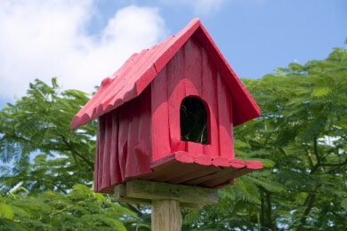 Wildvögel brauchen Unterstützung bei der Futtersuche im Winter
