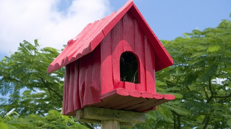 Rotes Futterhäuschen für Vögel im Garten