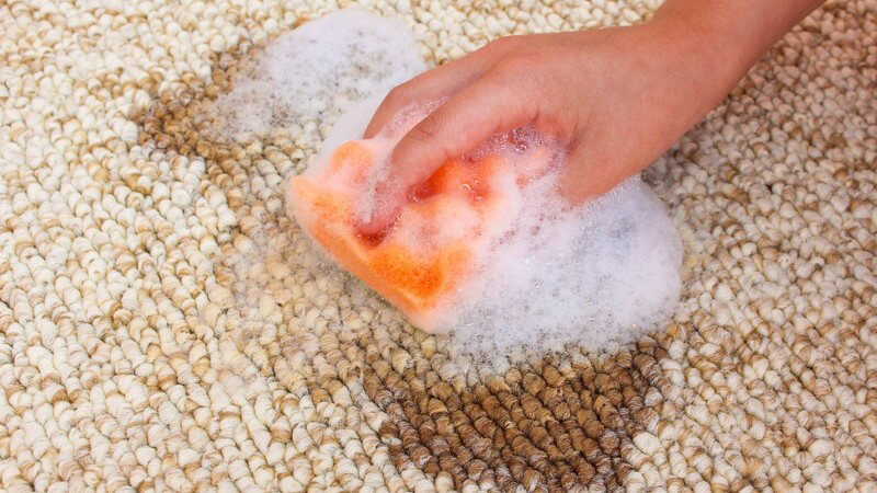 Entfernung eines Kaffeeflecks auf hellem Teppich mit orangenem Schwamm und Reinigungsmittel
