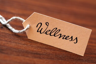 Kein Wellness-Urlaub mehr auf den Malediven? Regierung verbietet zahlreiche Einrichtungen