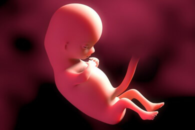 Das Wunder Maximilian - Kind kommt durch transplantiertes Eierstockgewebe zur Welt