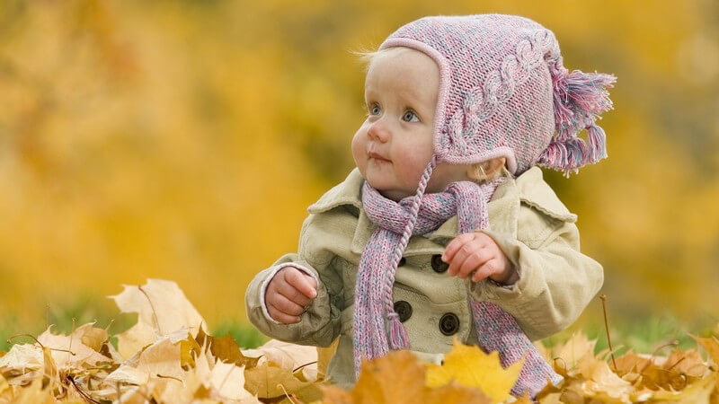 Baby mit lilaner Mütze und grünem Mantel sitzt in gelben Herbstblättern