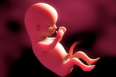 Appendektomie in der Schwangerschaft - Keine Gefährdung für den Fötus