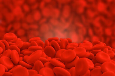 Stammzellen aus Nabelschnurblut lassen sich zu Gliazellen machen