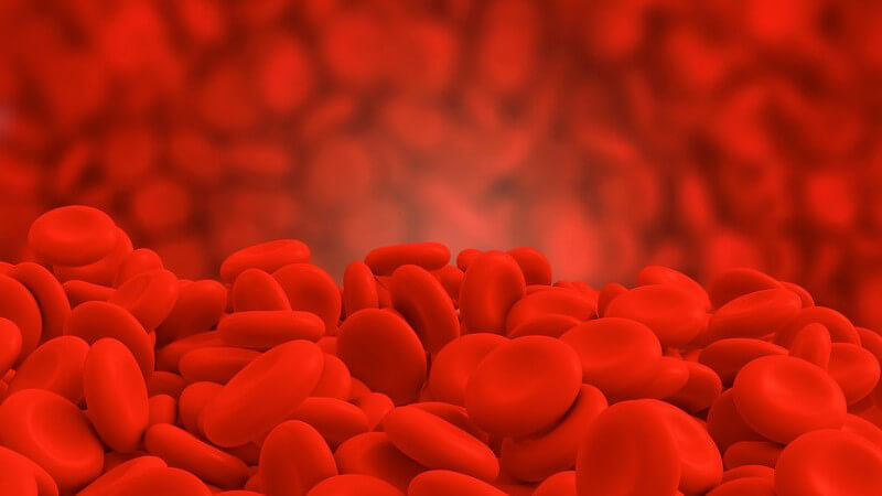3-D-Grafik mit roten Blutkörperchen