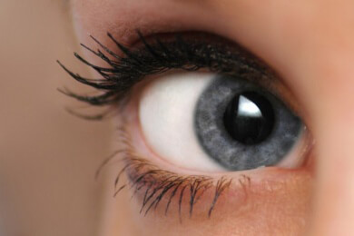 Fliegenbein-Wimpern liegen voll im Trend