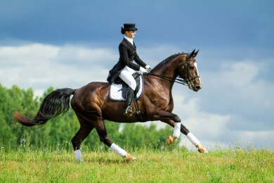 Beim Reiten den richtigen Unterricht finden