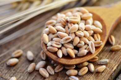 Ballaststoffreiche Kost verhindert Divertikelbildung im Dickdarm offenbar nicht